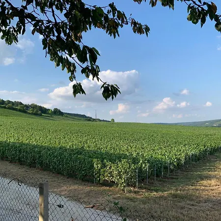 En Rez De Jardin Homestay szállás *